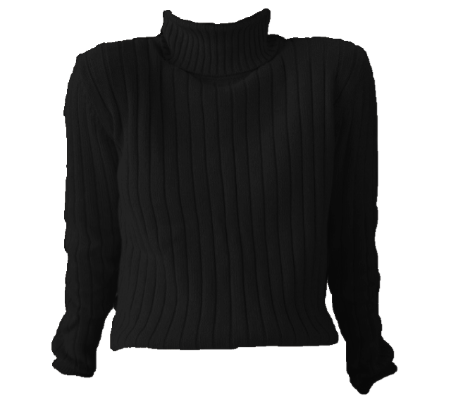 Turtle Neck Shirt Png Isolated Pic (black)