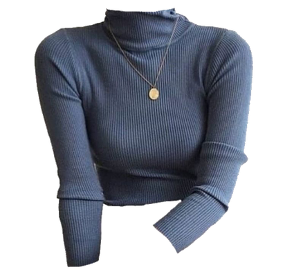 Turtle Neck Shirt Png Transparent (indigo, black, gray)