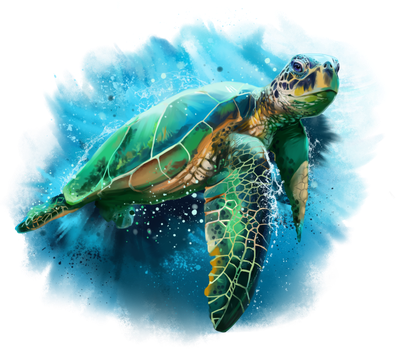 Turtle Png Free Download (teal, black, greenish blue)