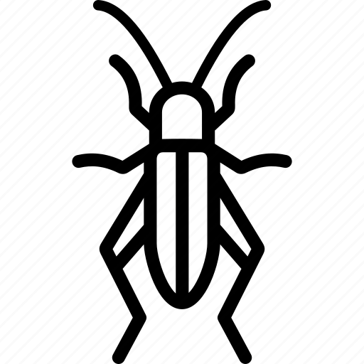 Bush Crickets Png Isolated Image (black)