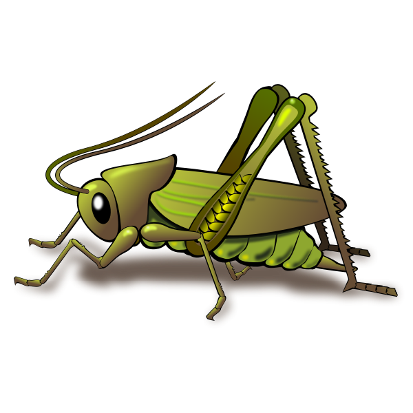 Bush Crickets Png (black, gray)