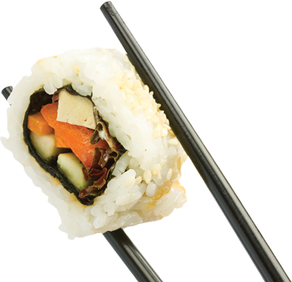 Sushi Transparent Background (gray, beige, white)