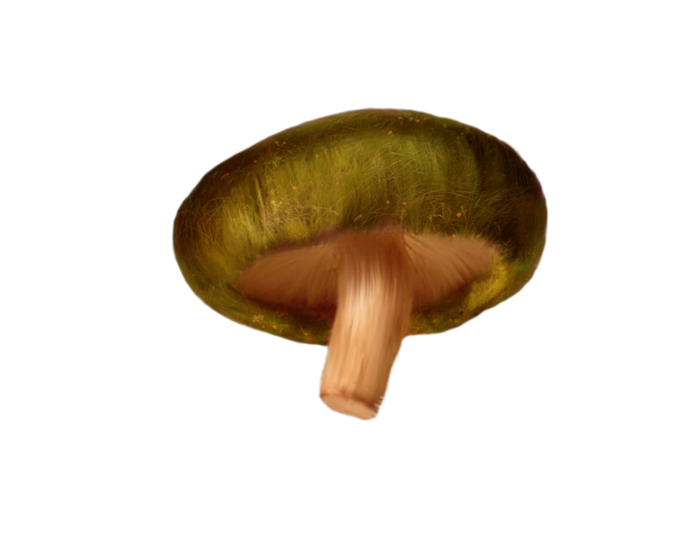 Mushroom Png Clipart (maroon, black, olive)