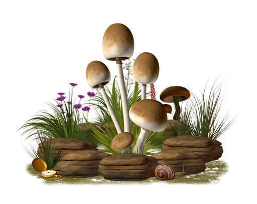 Mushroom Png Transparent Image (black)