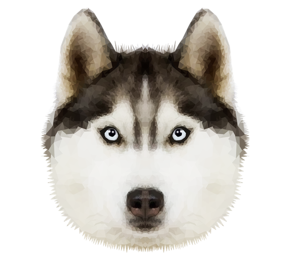 Husky Png Transparent Image (beige, black)