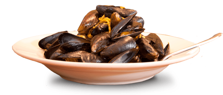 Mussel Png Image (black)