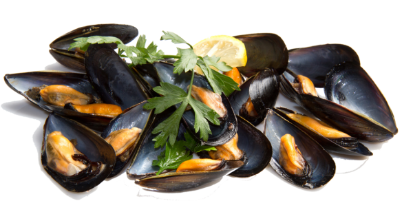 Mussel Png Picture (black, gray, silver)