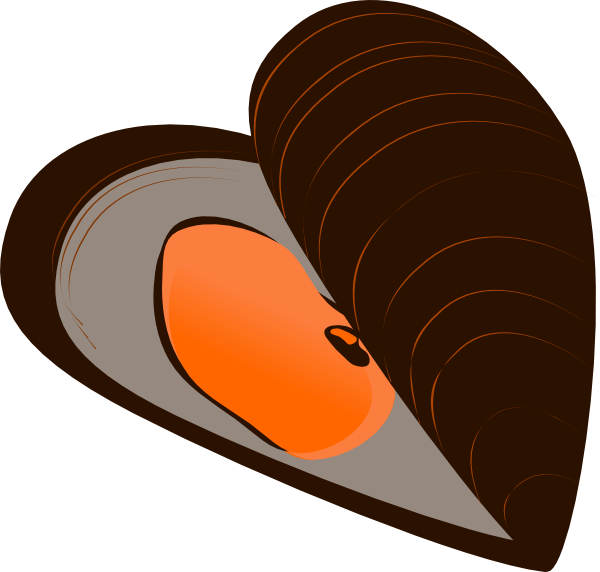 Mussel Png Transparent (gray, chocolate, black, salmon, white)