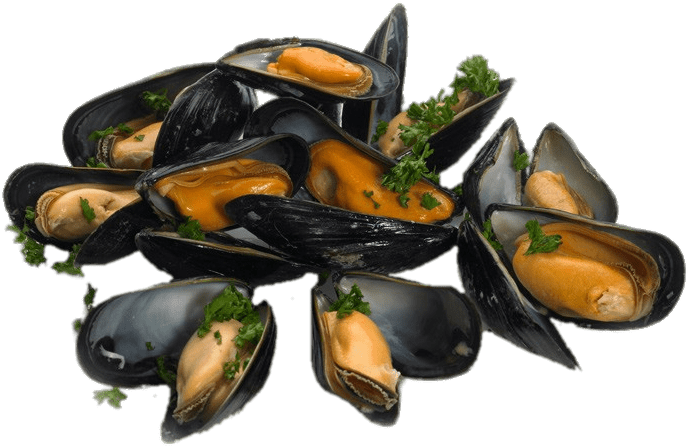 Mussel Seafood Png File (black)