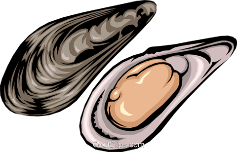 Mussel Seafood Png Image Hd (black, gray, pink, silver)