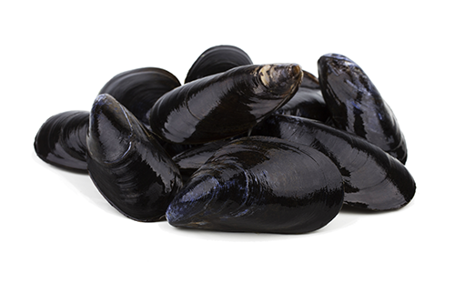 Mussel Seafood Png Image (lavender, white)