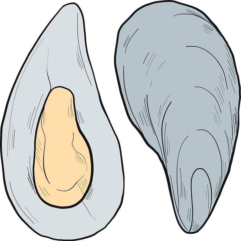 Mussel Seafood Png Photo (lavender, gray, silver, pink)