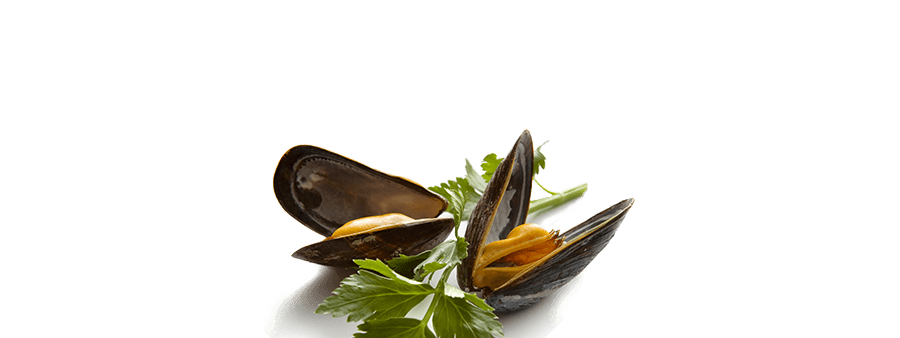 Mussel Seafood Png Pic (black, maroon, silver)