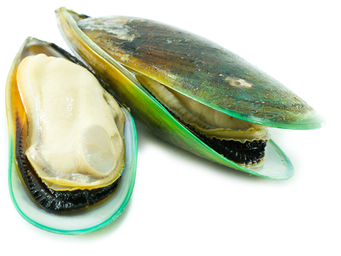 Mussels Png Isolated File (white, silver, black)