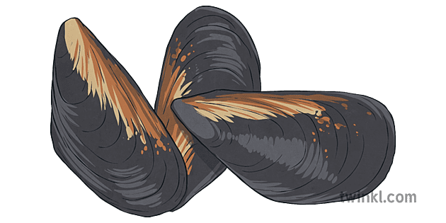 Mussels Png Isolated Hd (gray, indigo)