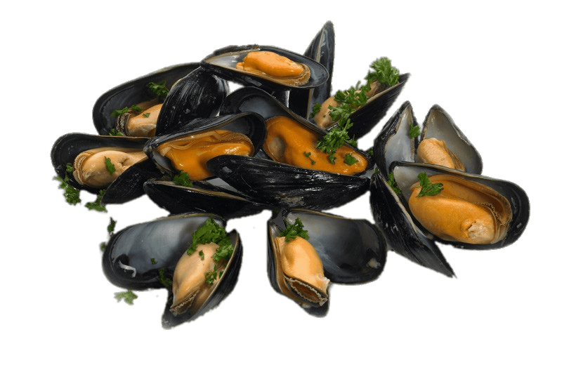 Mussels Png Photo (gray)