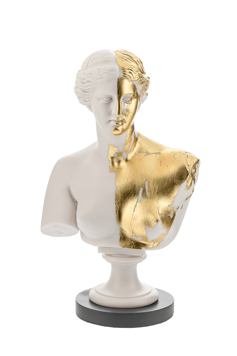 Bust Png Image (black, silver)