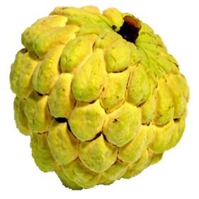 Custard Apple Png Hd Isolated (black)