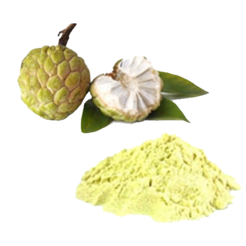 Custard Apple Png Image (beige, black)