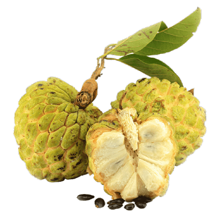 Custard Apple Png Isolated Pic (gray)