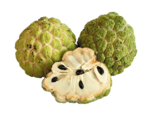 Custard Apple Png Pic (gray)