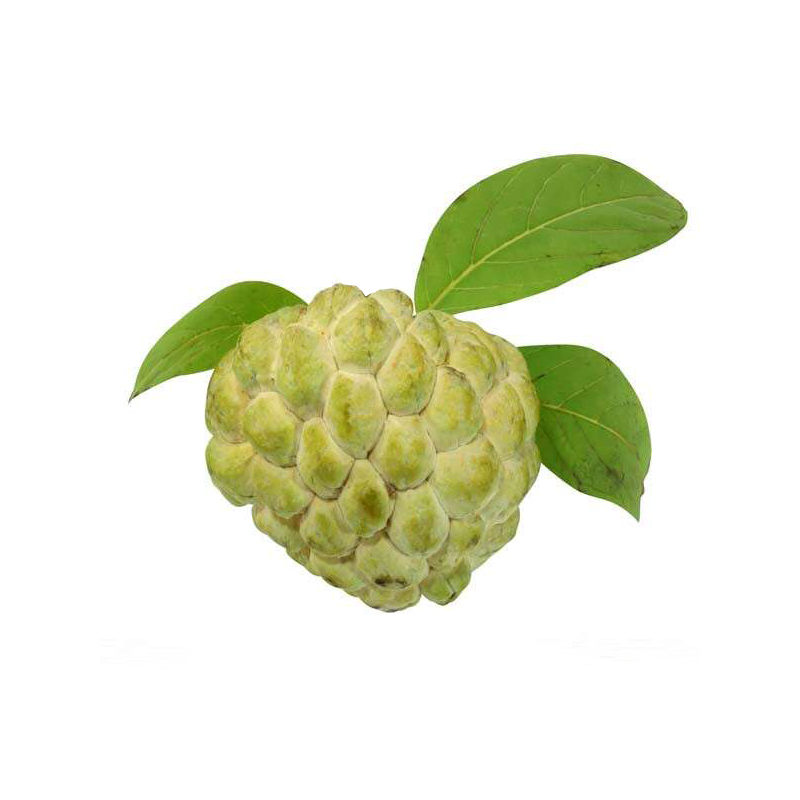 Custard Apple Png (olive, white)