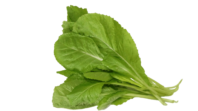 Mustard Greens Png Clipart (gray)