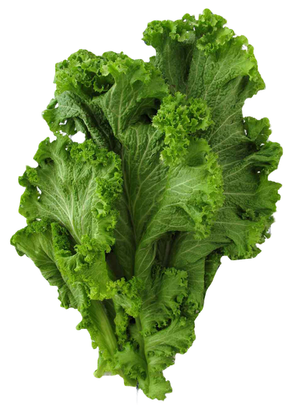 Mustard Greens Png Free Download (green, olive, black)