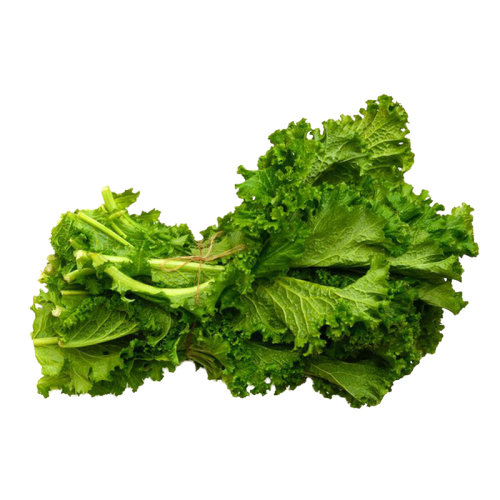 Mustard Greens Png Image (green, black)