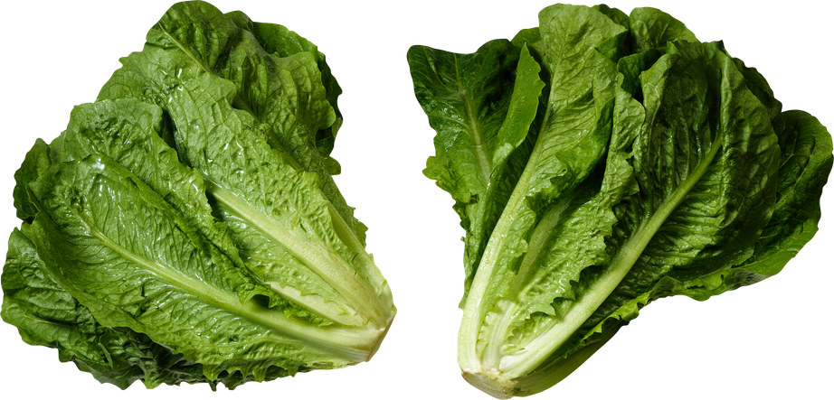 Mustard Greens Png Isolated File (black)