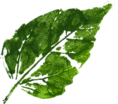 Mustard Greens Png Isolated Image (green, black)