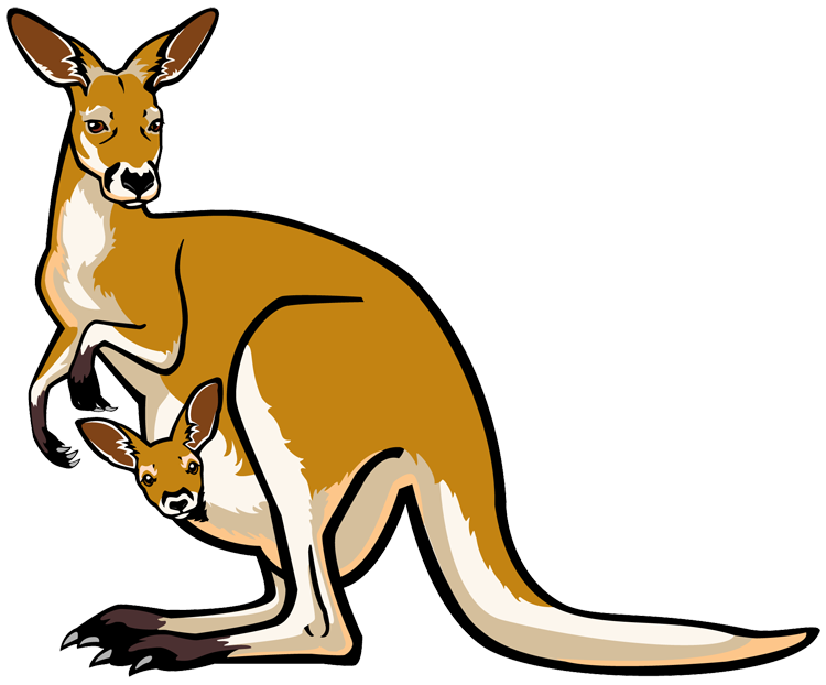 Australia Kangaroo Download Png Image (white, gray, chocolate)