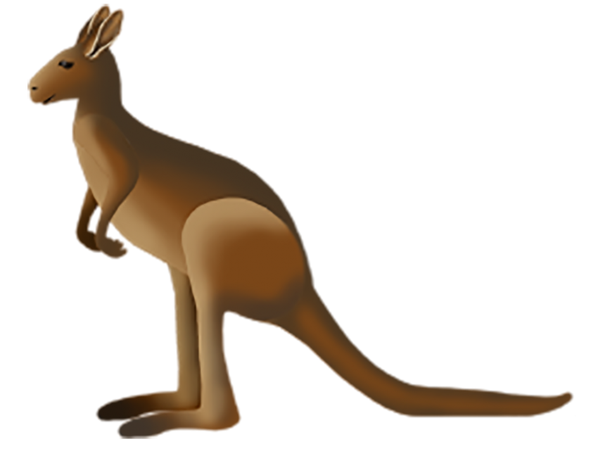 Australia Kangaroo Png Clipart (white, maroon, olive)