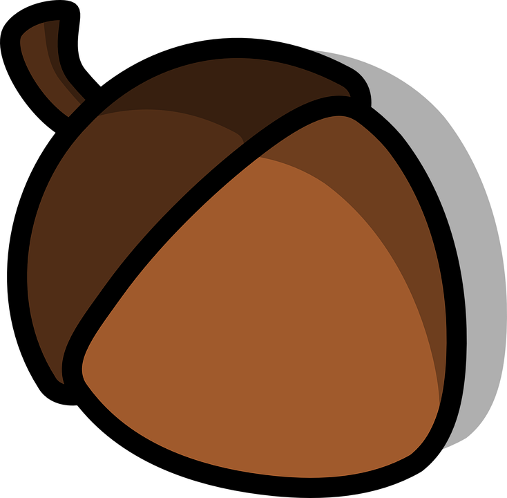 Nut Png Hd Isolated (maroon, chocolate, black)