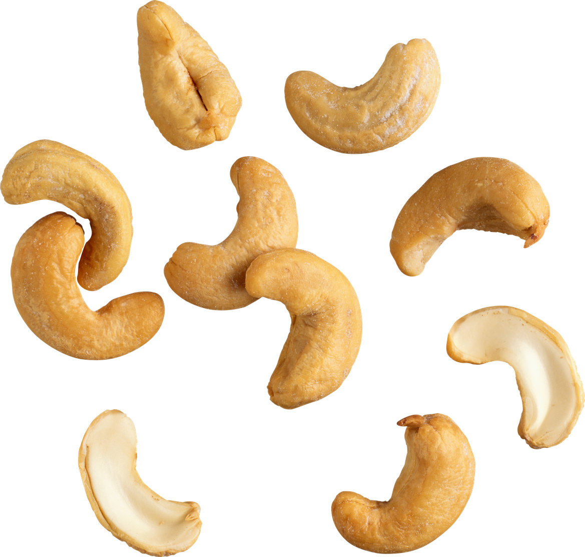 Nut Png Photos (beige, black)