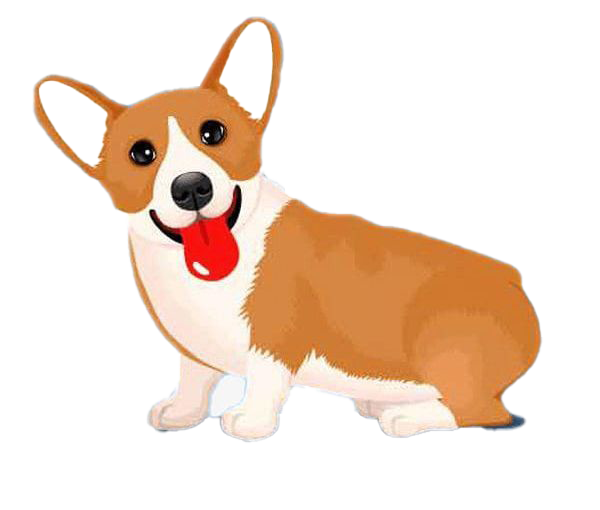 Cute Corgi Dog Png Clipart (chocolate, white)