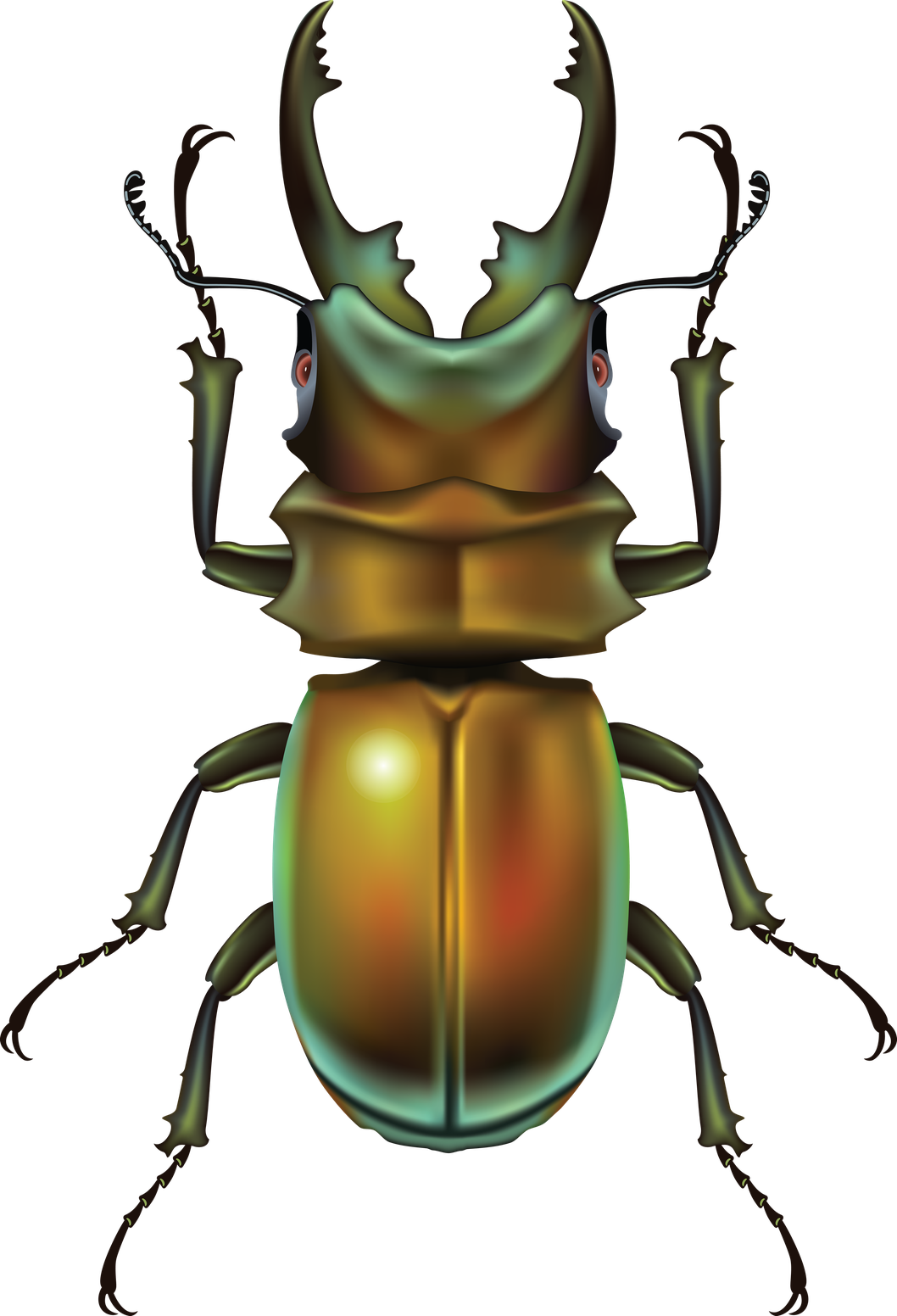 Cute Insect Png Photos (black)