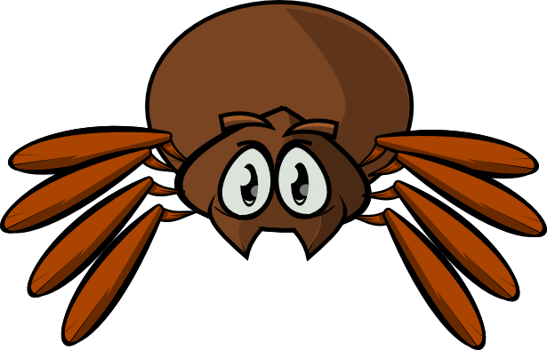 Cute Spider Png Pic (olive, chocolate, maroon, black, white)