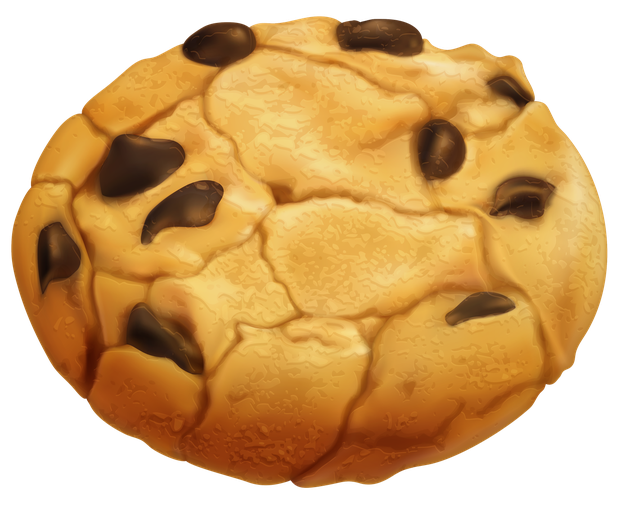 Butter Chocolate Cookie Png Image (salmon, black)