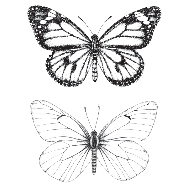 Butterfly Tattoo Png Photo (indigo, black, gray, white)