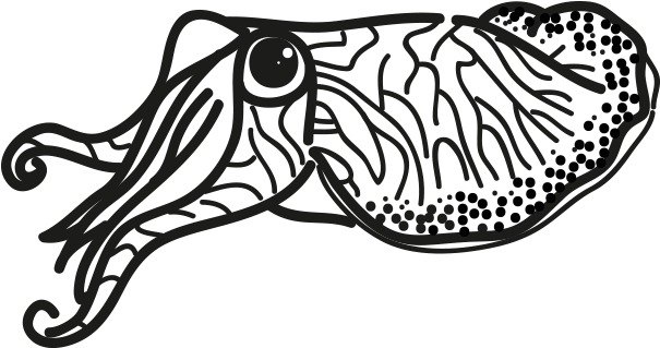 Cuttlefishes Png Free Download (black)