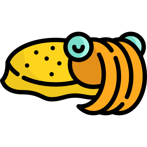 Cuttlefishes Png Isolated Hd (chocolate, orange, black, white, gold)