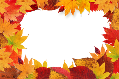 Autumn Leaf Frame Png (orange, black, yellow)