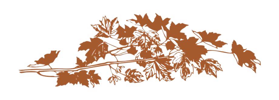 Autumn Leaves Png File (chocolate, white)