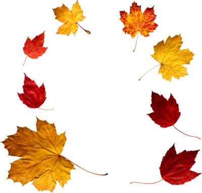 Autumn Leaves Png File (maroon, black)