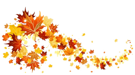 Autumn Leaves Png Image (white)