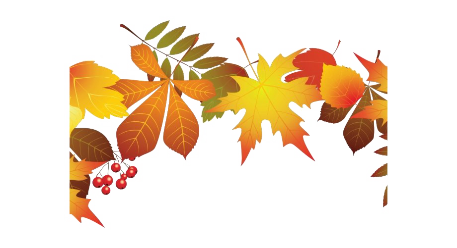 Autumn Leaves Png Transparent Image (white)