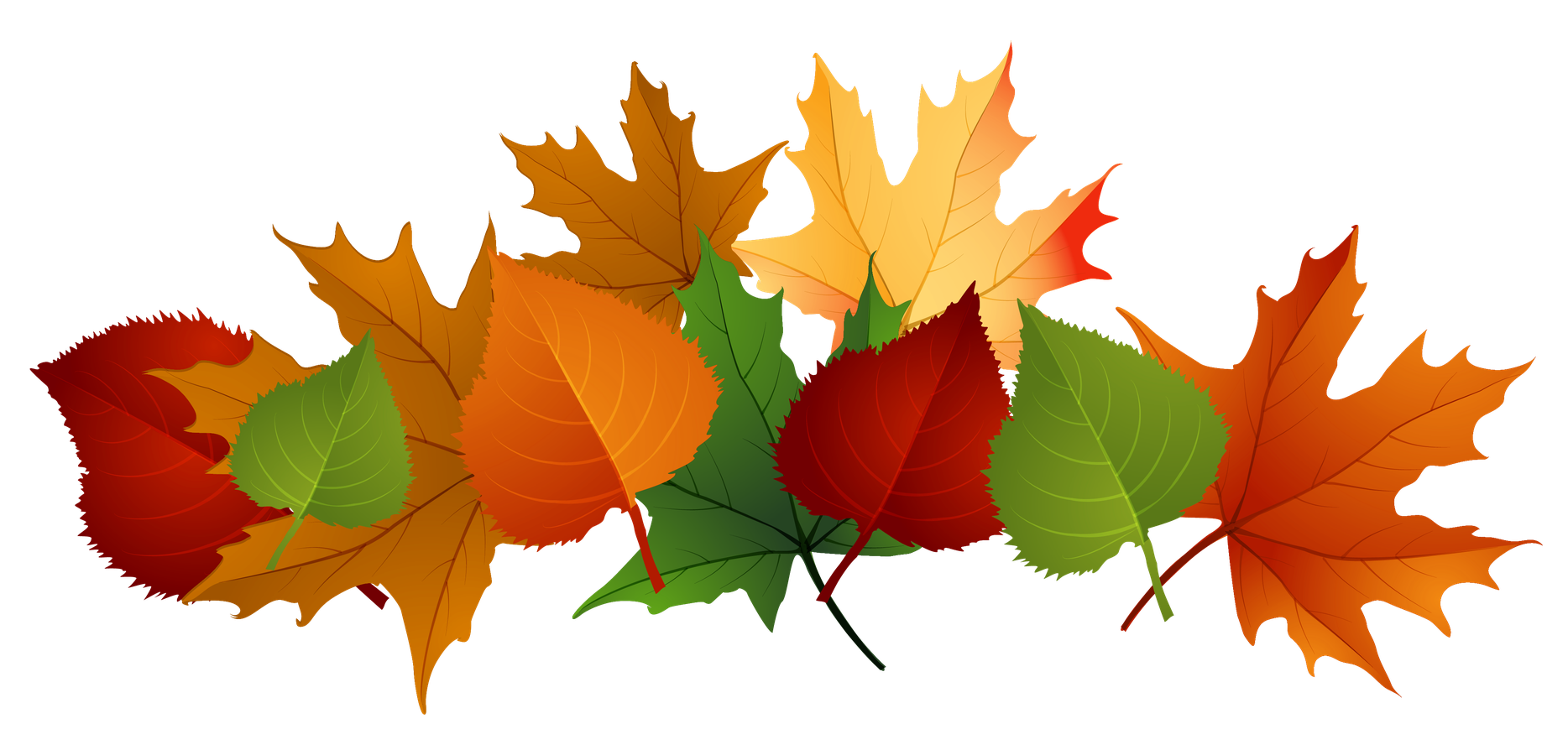 Autumn Leaves Png Transparent Image (maroon, black, olive)