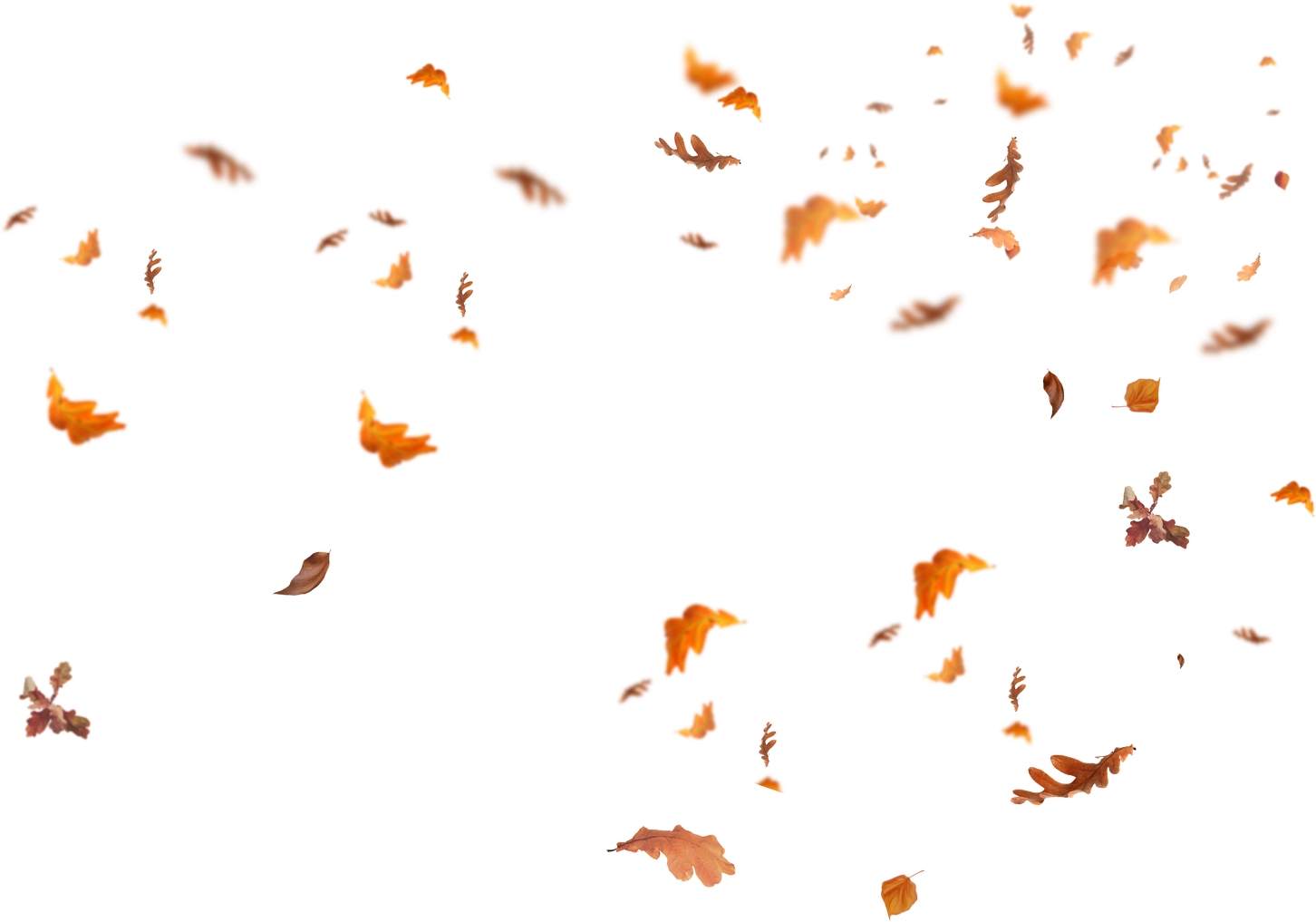 Autumn Png Isolated Pic (black)