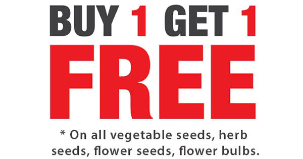 Buy 1 Get 1 Free Png Background Image (white, pink, chocolate, red)